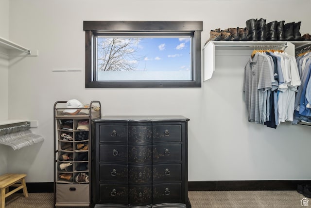 spacious closet with carpet
