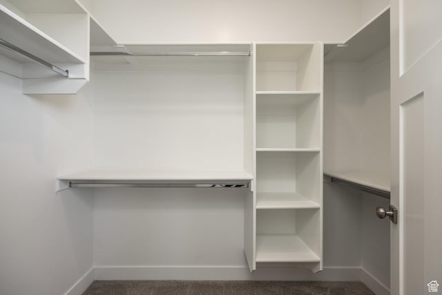 walk in closet with carpet
