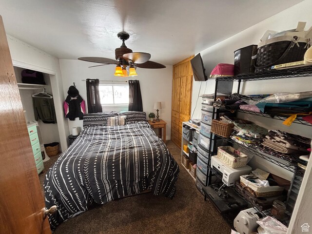 353 S 9th St, Montpelier, ID 83254 - bedroom with carpet, a closet, and ceiling fan