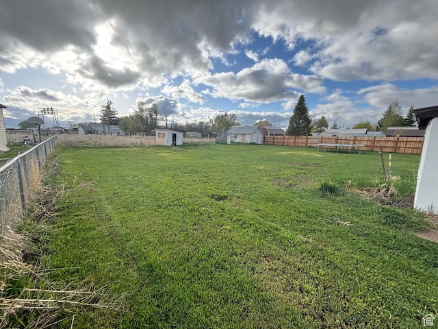 353 S 9th St, Montpelier, ID 83254 - view of yard with a trampoline, a storage shed, and an outbuilding