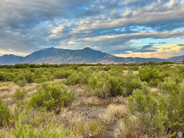 3659 W Turkey Ln, Nephi, UT 84648