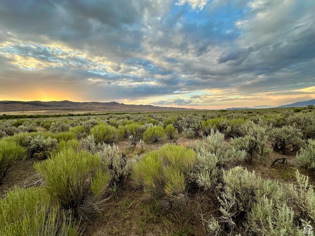 3659 W Turkey Ln, Nephi, UT 84648