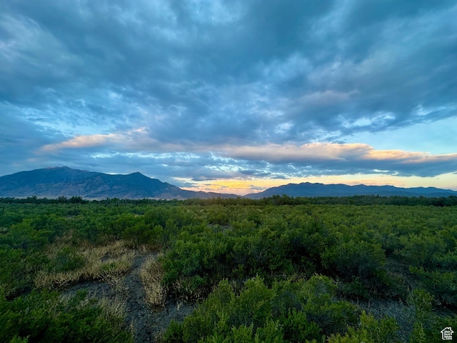 3659 W Turkey Ln, Nephi, UT 84648