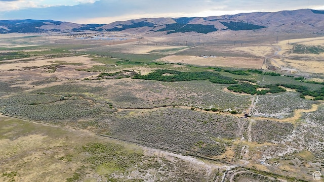 3659 W Turkey Ln, Nephi, UT 84648