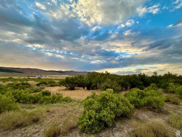3659 W Turkey Ln, Nephi, UT 84648