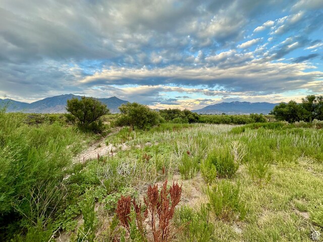 3659 W Turkey Ln, Nephi, UT 84648