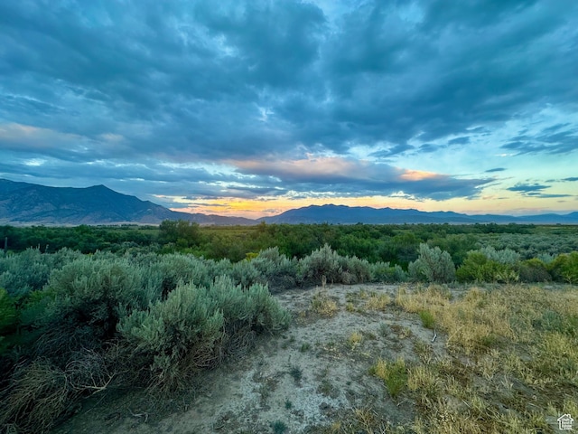 3659 W Turkey Ln, Nephi, UT 84648