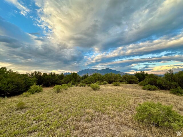 3659 W Turkey Ln, Nephi, UT 84648