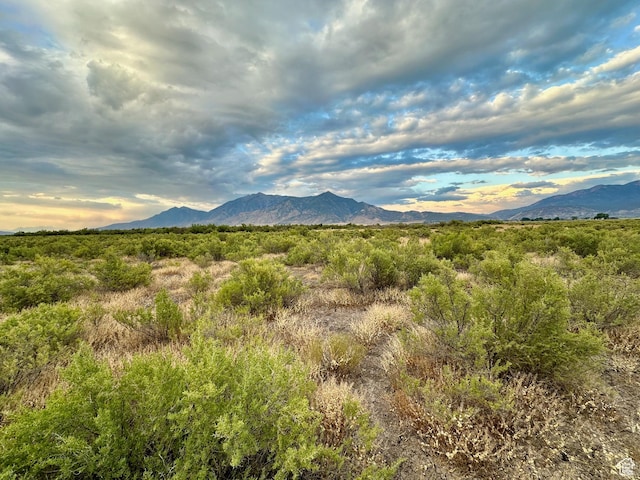 3659 W Turkey Ln, Nephi, UT 84648