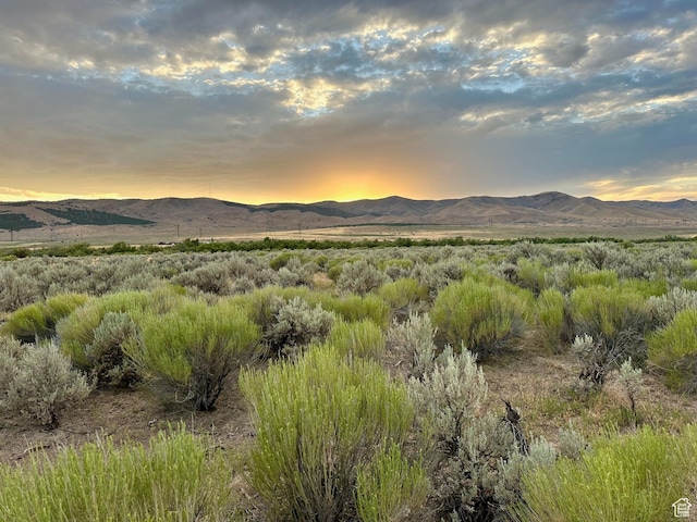 3659 W Turkey Ln, Nephi, UT 84648