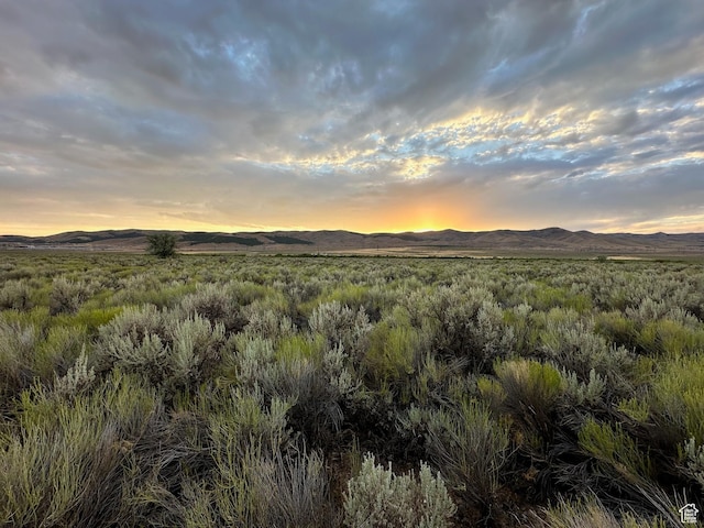 3659 W Turkey Ln, Nephi, UT 84648