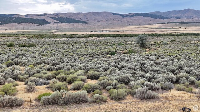 3659 W Turkey Ln, Nephi, UT 84648