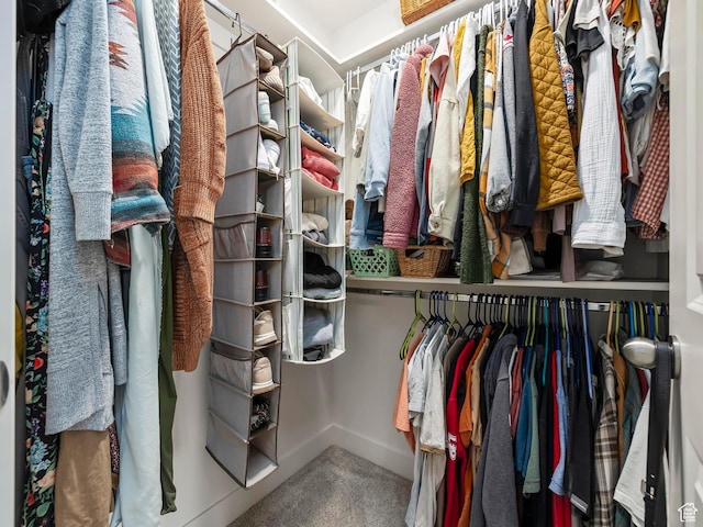 1802 E Magnolia Cir, Eagle Mountain, UT 84005 - walk in closet featuring carpet flooring
