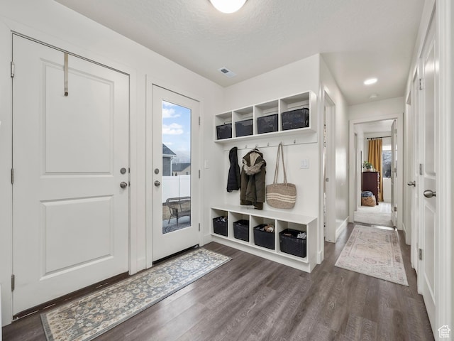1802 E Magnolia Cir, Eagle Mountain, UT 84005 - mudroom with dark wood-type flooring, plenty of natural light, and a textured ceiling