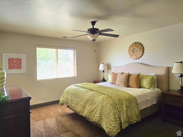4206 E Torrey Pines Dr, Washington, UT 84780 - photo 22