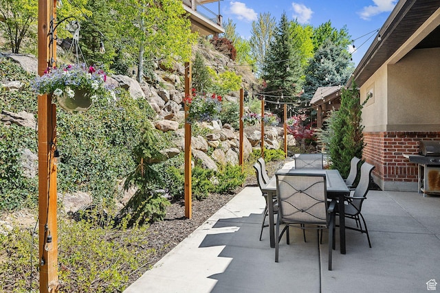 13299 S Laurel Park Ln, Draper, UT 84020 - view of patio / terrace with outdoor dining area and area for grilling