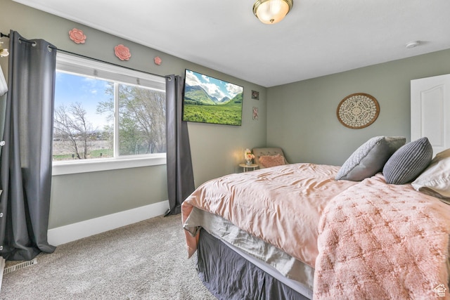888 W Vahe St S, Draper, UT 84020 - carpeted bedroom featuring baseboards