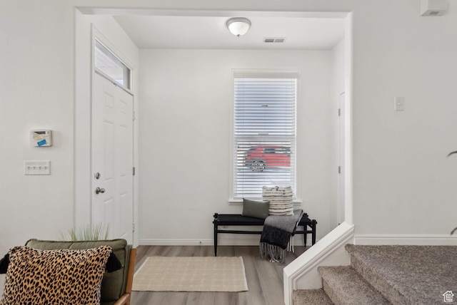 entrance foyer featuring hardwood / wood-style flooring and a wealth of natural light