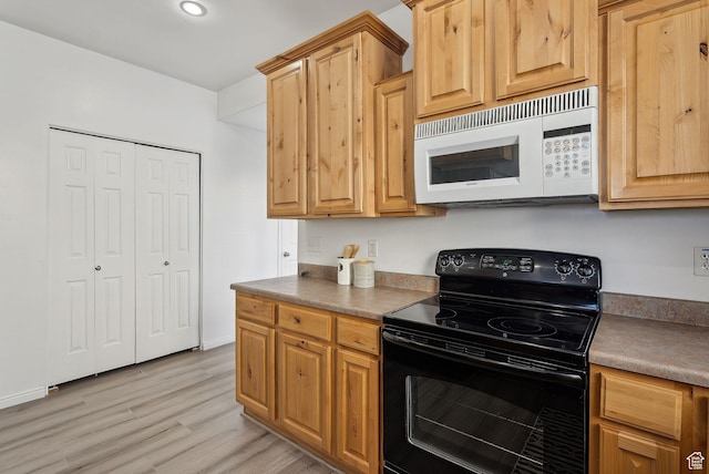 kitchen with light hardwood / wood-style flooring and electric range