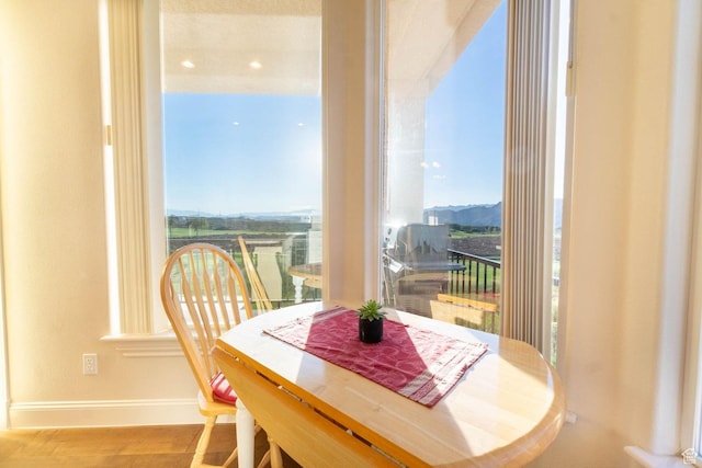 dining room featuring a mountain view, plenty of natural light, and wood-type flooring
