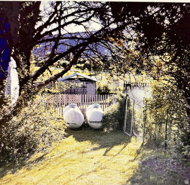 7455 N Capitol Hill Rd, Preston, ID 83263 - view of yard with fence
