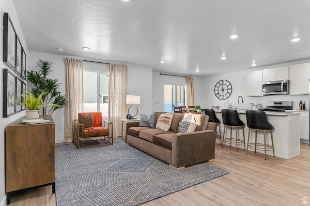 716 N 1700 E Unit 1128, Salem, UT 84653 - living room featuring sink, light hardwood / wood-style floors, and a textured ceiling