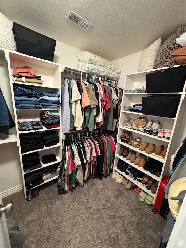 840 N Great View Dr E, Morgan, UT 84050 - walk in closet featuring carpet