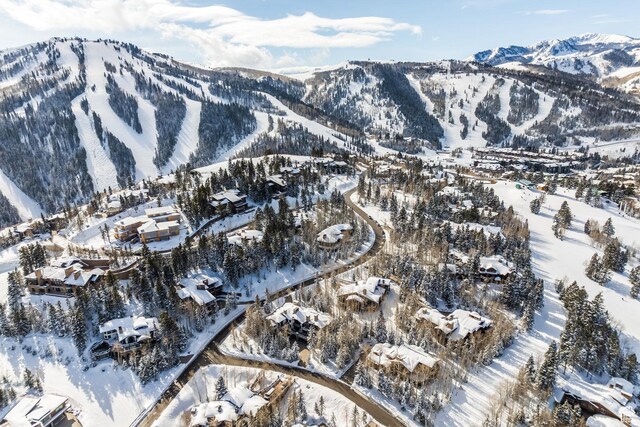7933 Bald Eagle Dr, Park City, UT 84060 - photo 6