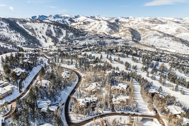 7933 Bald Eagle Dr, Park City, UT 84060 - photo 42