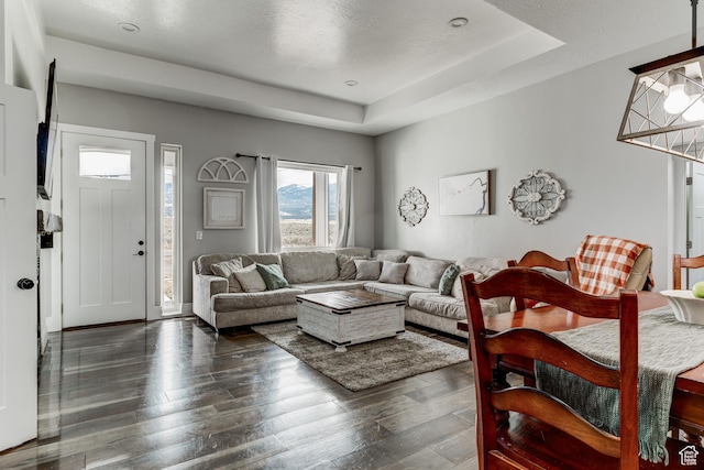 720 S 700 E, Mount Pleasant, UT 84647 - living room with a raised ceiling and dark wood-style flooring