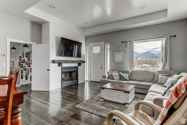 720 S 700 E, Mount Pleasant, UT 84647 - living area featuring baseboards, dark wood-style flooring, a glass covered fireplace, and a tray ceiling