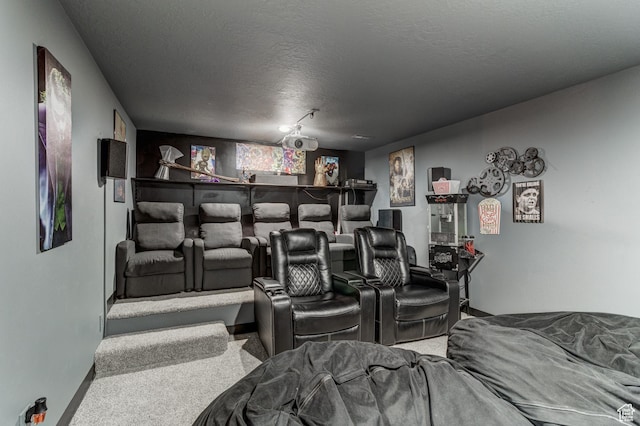 720 S 700 E, Mount Pleasant, UT 84647 - carpeted cinema with a textured ceiling, baseboards, and a bar