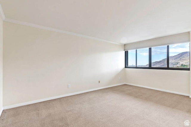 241 N Vine St Unit 1201E, Salt Lake City, UT 84103 - spare room with light carpet, a mountain view, and ornamental molding