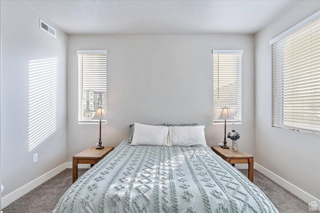1079 W 420 S Unit 102, American Fork, UT 84003 - carpeted bedroom with multiple windows