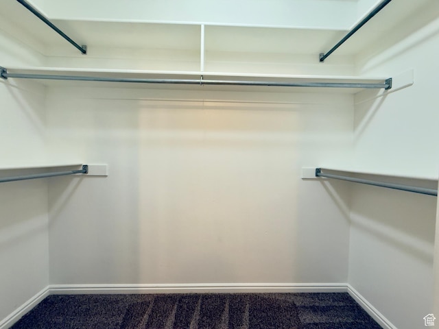 1444 S 430 W Unit 7, Orem, UT 84058 - walk in closet featuring carpet flooring
