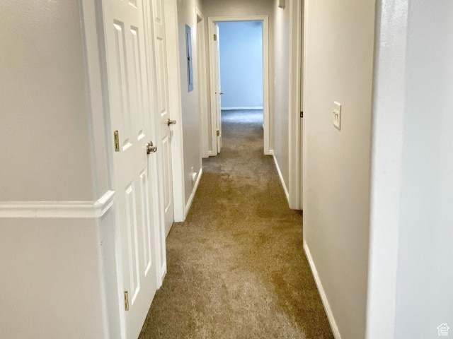 1444 S 430 W Unit 7, Orem, UT 84058 - corridor with light colored carpet
