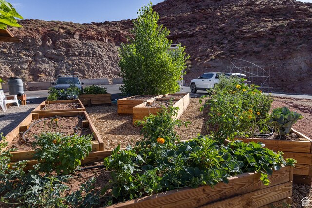 1185 S Murphy Ln Unit 201A, Moab, UT 84532 - view of yard featuring a garden and a mountain view