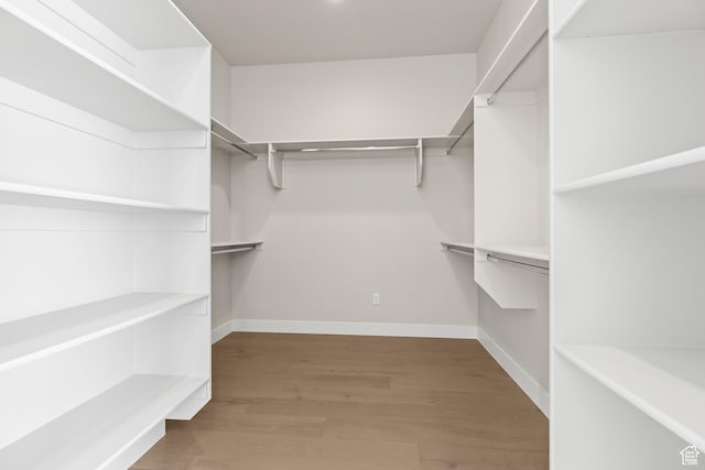 spacious closet featuring wood finished floors