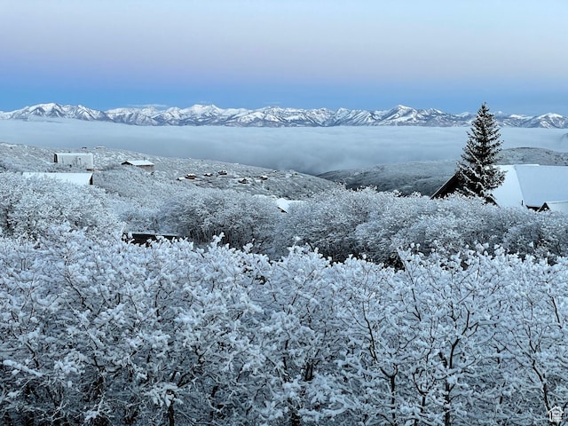 9284 E Tree Top Cir Unit 856, Heber City, UT 84032 - water view with a mountain backdrop