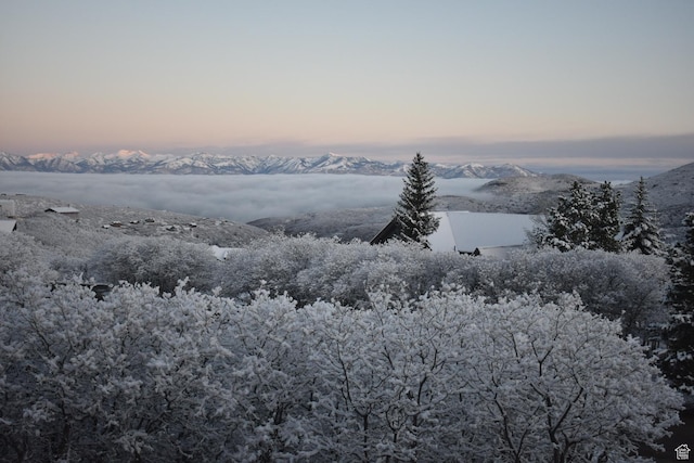 9284 E Tree Top Cir Unit 856, Heber City, UT 84032 - water view featuring a mountain backdrop