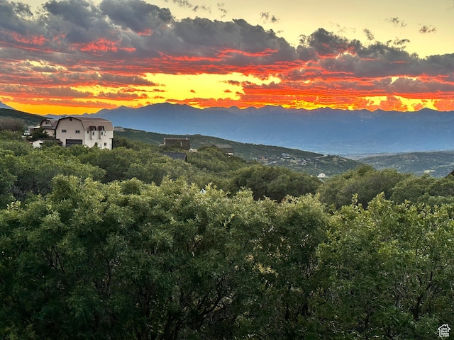 9284 E Tree Top Cir Unit 856, Heber City, UT 84032 - mountain view