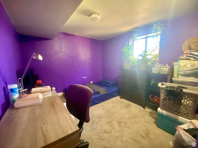 289 E 400 N, Parowan, UT 84761 - view of carpeted office space