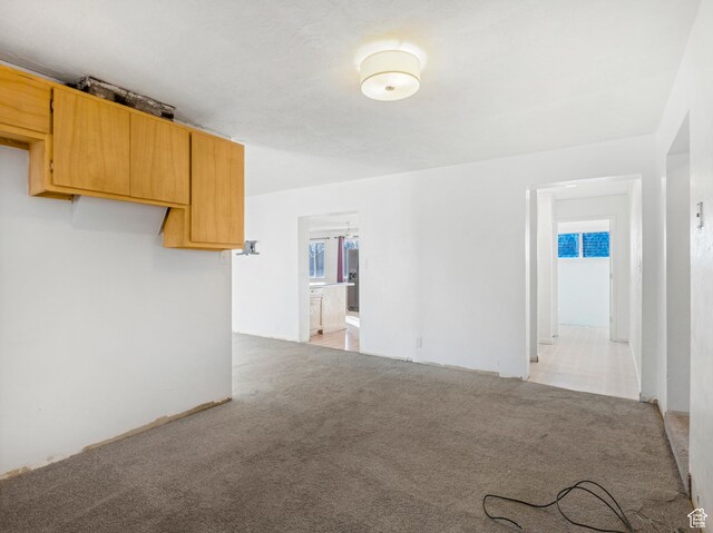 carpeted empty room featuring a wealth of natural light