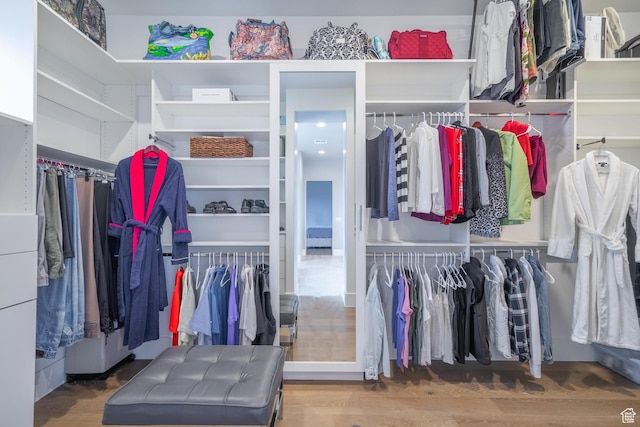 walk in closet featuring wood-type flooring