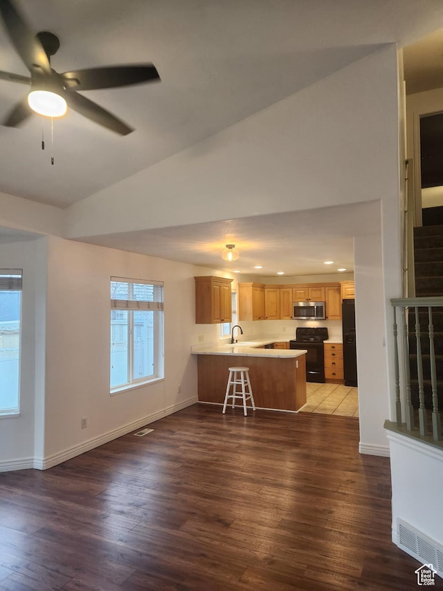 548 S 675 W, Centerville, UT 84014 - unfurnished living room with lofted ceiling, sink, dark hardwood / wood-style floors, and ceiling fan