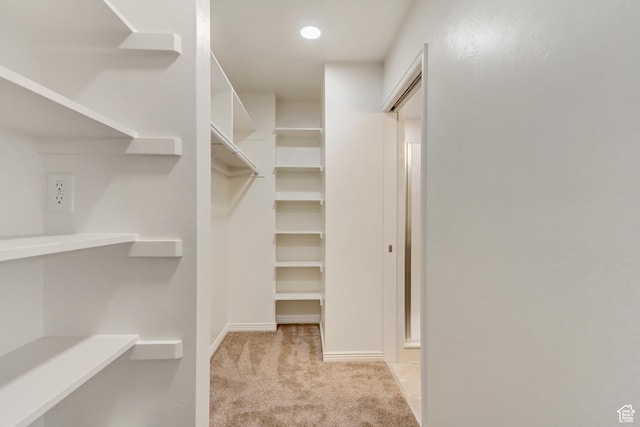 1503 N 1980 W, Provo, UT 84604 - walk in closet with carpet
