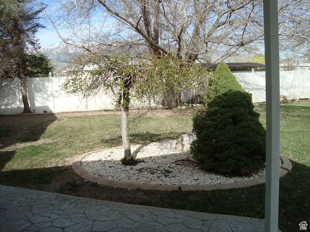 500 W Clark St S, Grantsville, UT 84029 - view of yard featuring fence and a mountain view