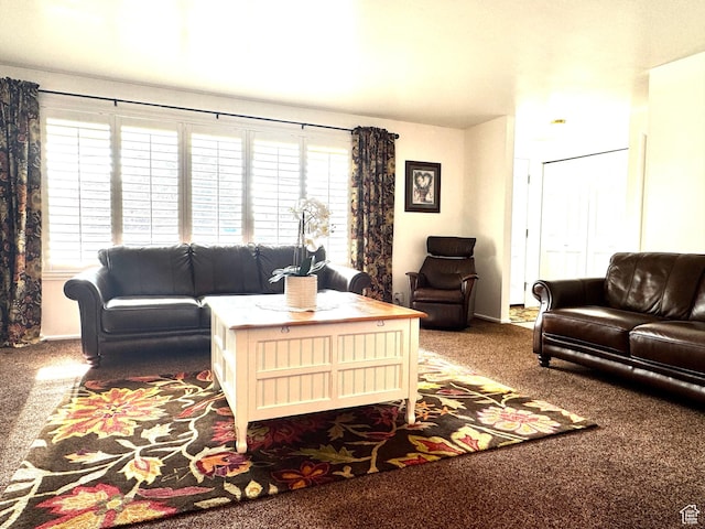 500 W Clark St S, Grantsville, UT 84029 - living room featuring carpet floors