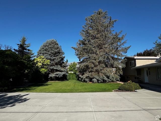 500 W Clark St S, Grantsville, UT 84029 - view of green lawn