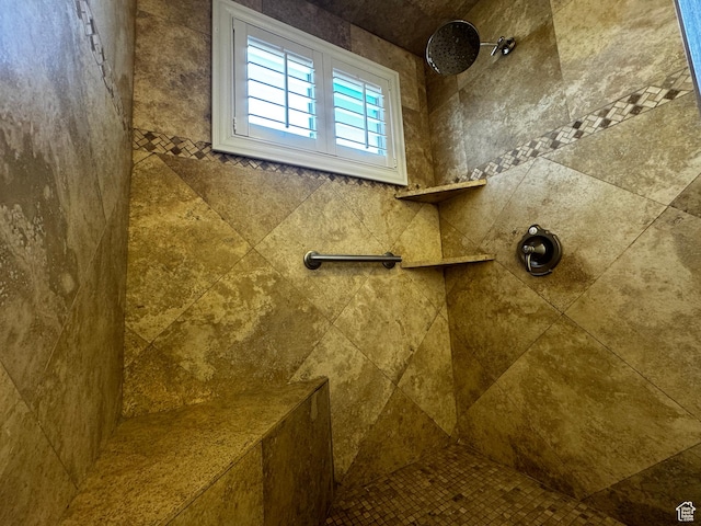 500 W Clark St S, Grantsville, UT 84029 - room details featuring tiled shower